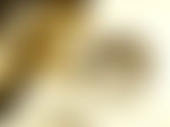 週末レッスン後のフレンチフライ(AND THE FRIET 広尾)