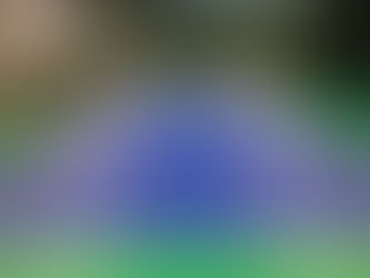 Die Linien sin auch bald fertig...