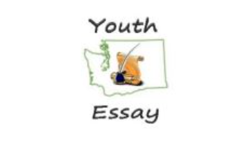 Youth Essay VFW.png