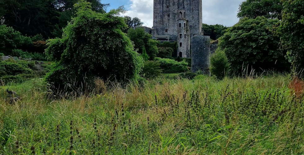 Le Château de Blarney