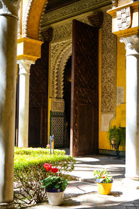 Le Palais de Dueñas