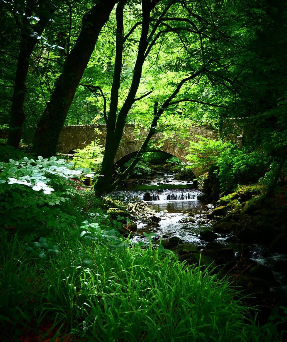 Killarney