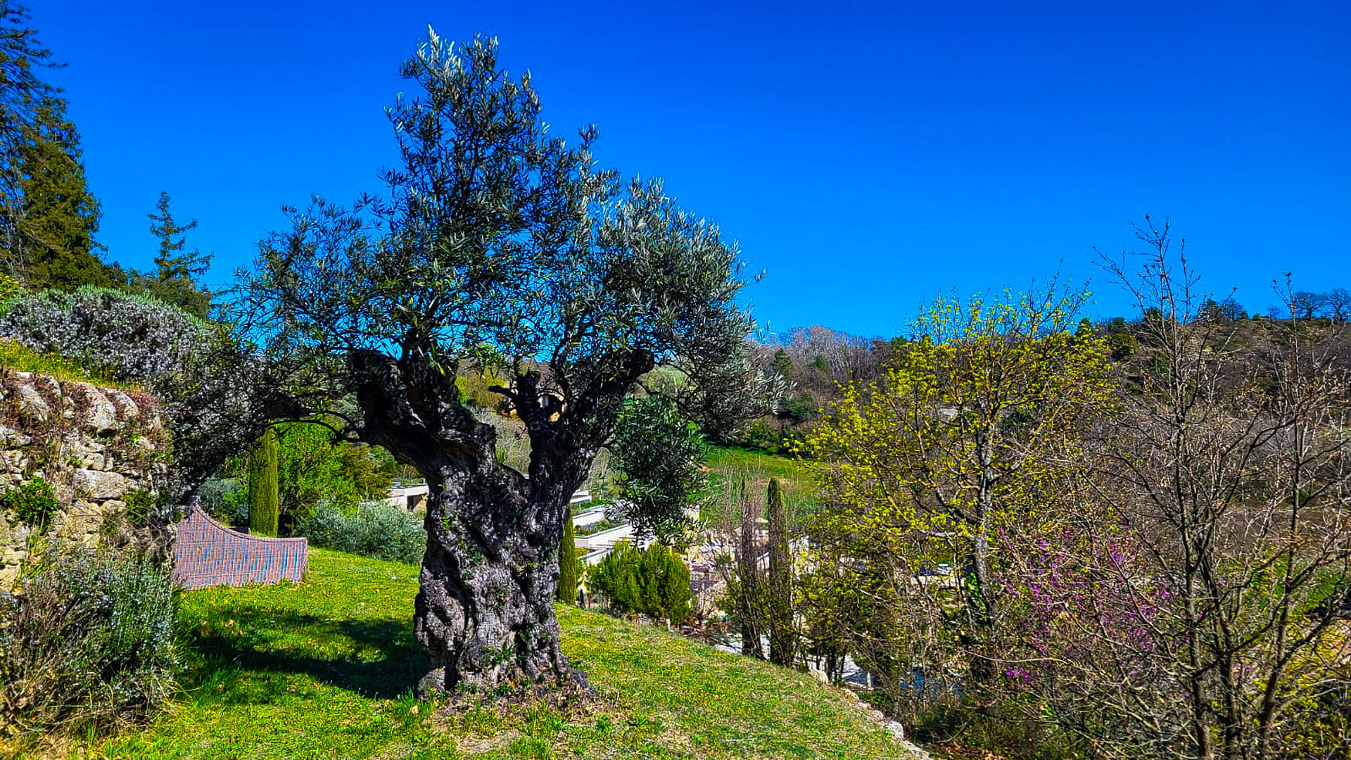 Couvent des Minimes