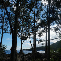 Photo de l'ile de la reunion