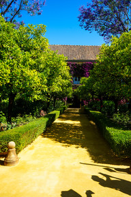 Le Palais de Dueñas 
