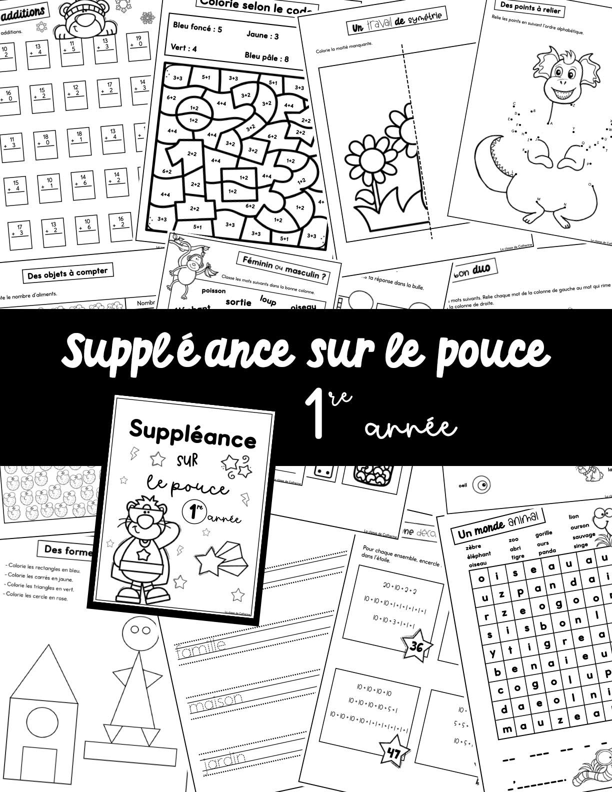 Suppléance sur le pouce - 1re année