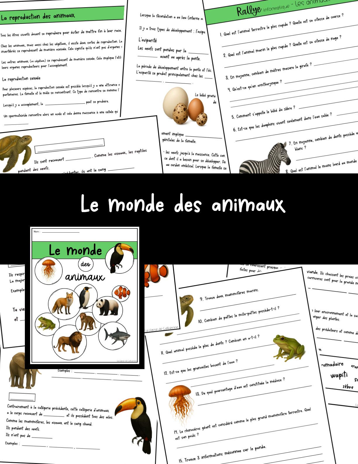 Le monde des animaux - 2e & 3e cycle