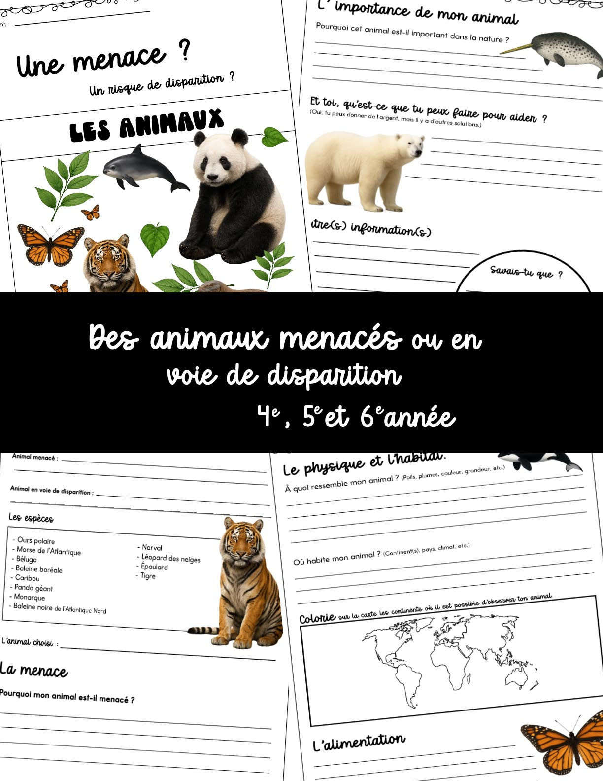 Recherche sur un animal menacé (4e à 6e année)