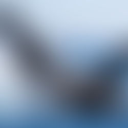 February 2026 Reports and Updates