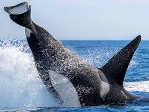 February 2026 Reports and Updates