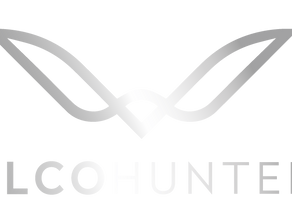 Encuentra el talento ideal con los servicios profesionales de Falco Hunters