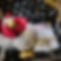 17a6bdc4-18ce-41d3-b014-805e5b31934b.jfif
