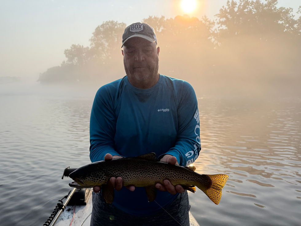 Large Brown on the White