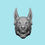 Thumbnail: Angry Doberman