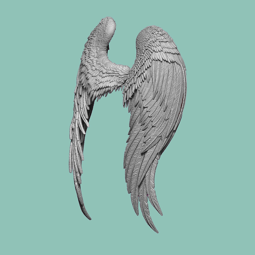 Thumbnail: Bird Wings