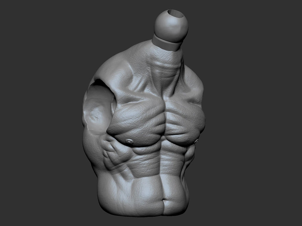 Thumbnail: Bare Hunch Torso