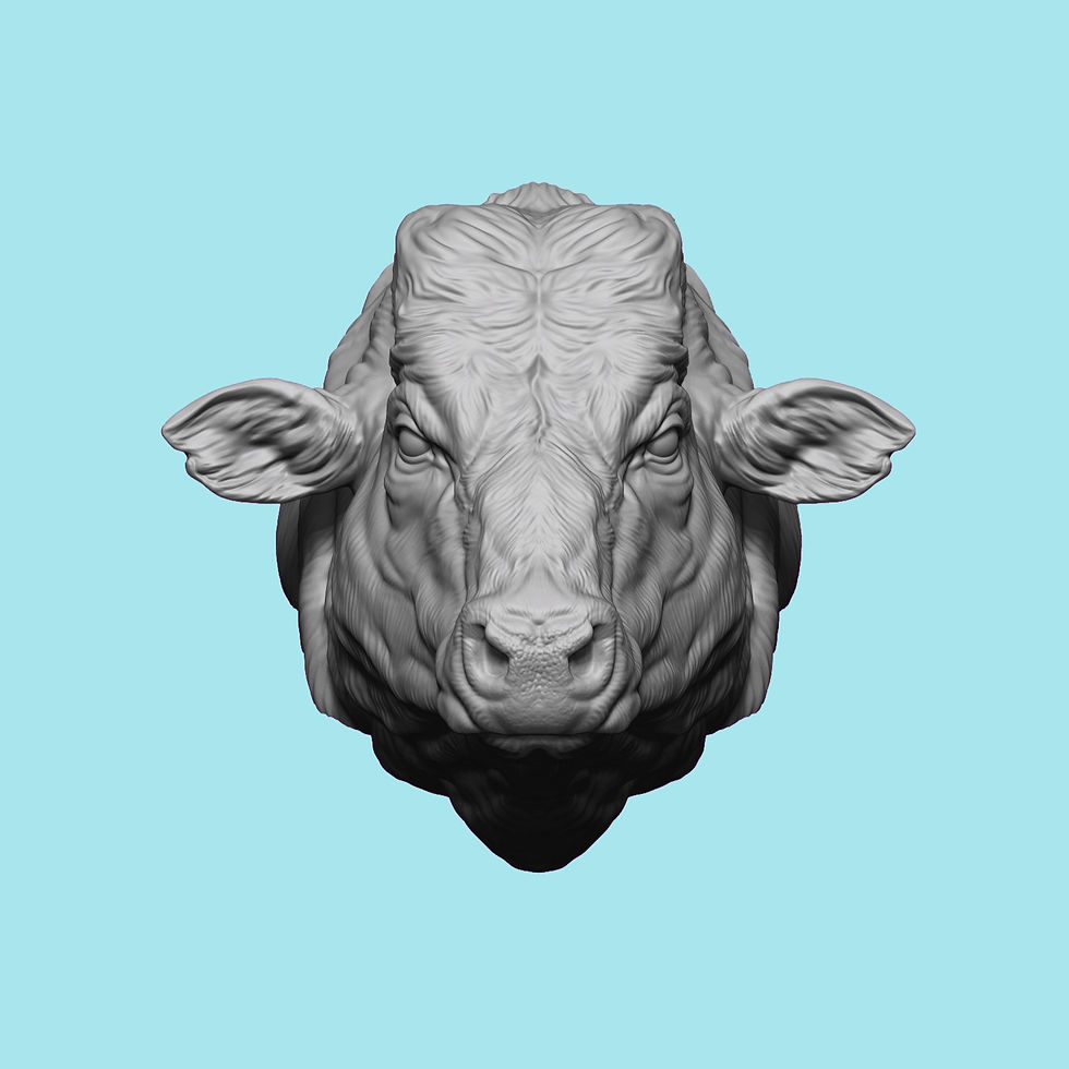 Thumbnail: Bull