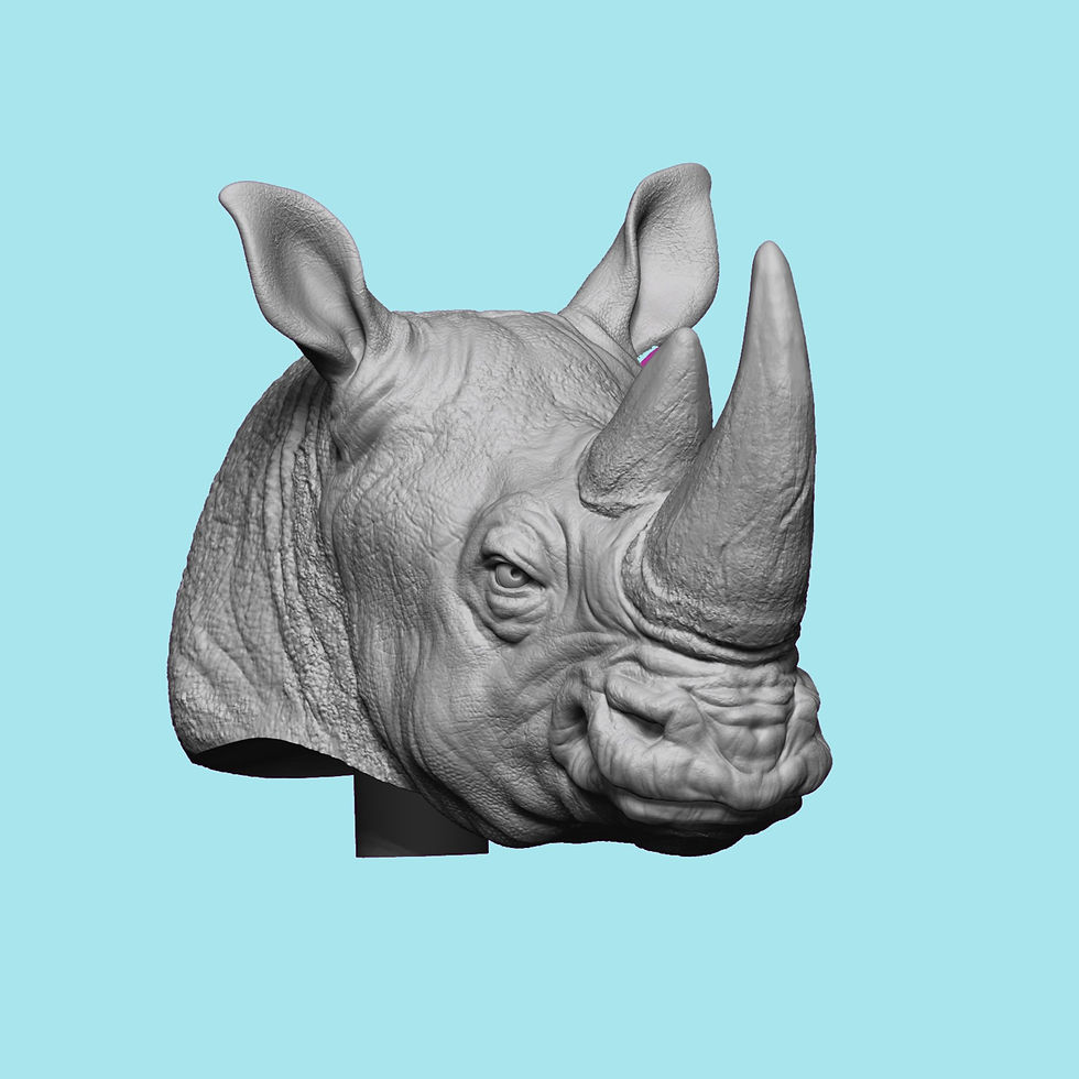 Thumbnail: Rhino