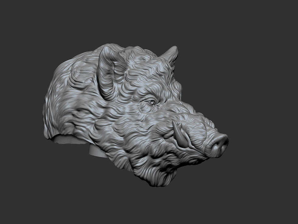 Thumbnail: Wild Boar