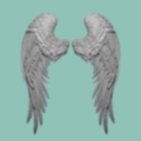 Bird Wings