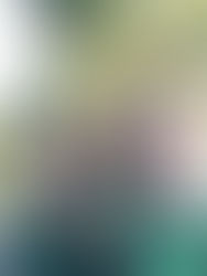 Le camp d'été 2016