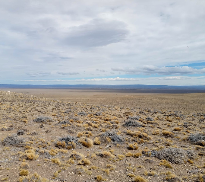 Photo de Sophie Baumgartner (17).jpg