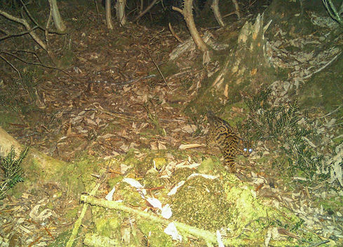 2020 11 25 15 31 25-2_edited.jpg