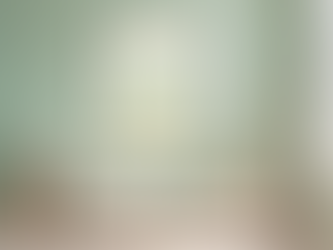 Compra ilustraciones únicas para niños en Erizo