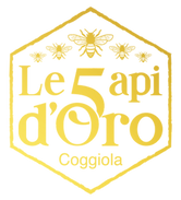 LOGO 5 API.png