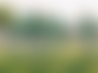 Custom Soccer Gear: Unite Your Team, Stand Out on the Field