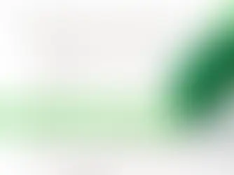 a text written variance is highlighted by green colour