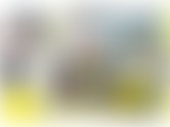 降雪時の車の備え