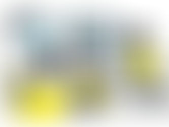 水害時の自宅内避難