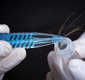 Screen Shot 2020-08-31 at 5.12.00 PM.png