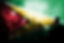 live music concert with blending Guyana flag on fans.jpg