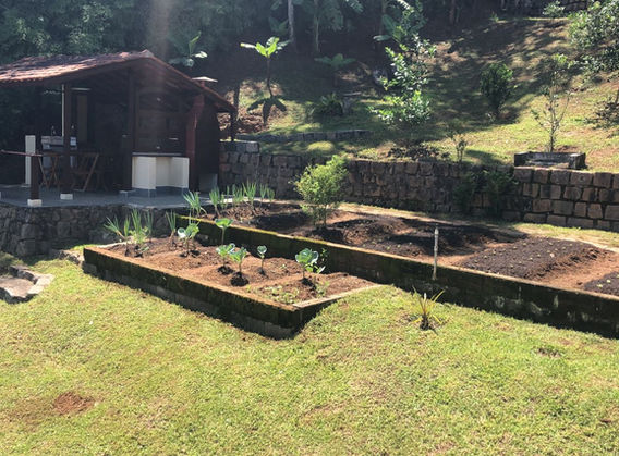 Área de churrasqueira e horta.