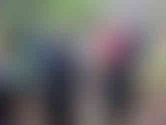 植物のガイド１