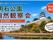 明石公園 自然観察会を開催します