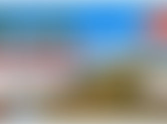 明石公園 自然観察会を開催します