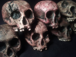 Handmade Plaster Scull