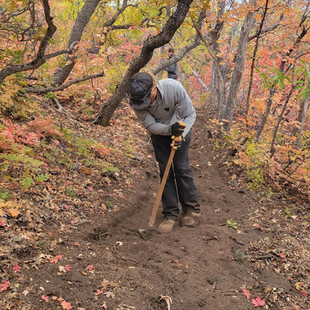 singletrack-trails-jacobs-ladder-1