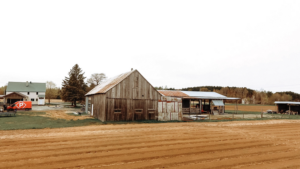 ferme Juliette et famille