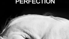 Sois parfait ! L'être humain est-il perfectible ?