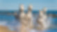 Cheveaux galapant sur une plage de Camargue