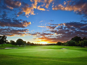 Confessions of a (Mostly Willing) Golf Widow