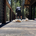 Sanding and staining exterior deck