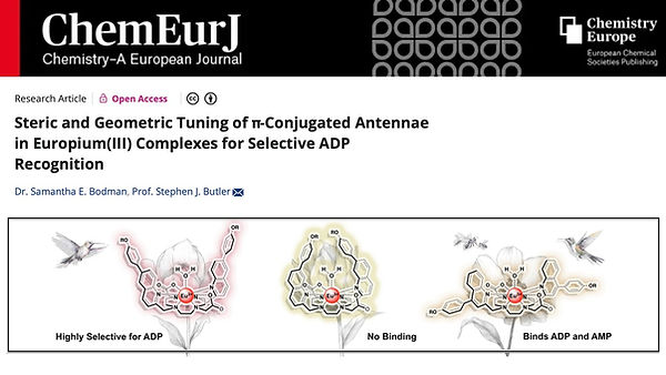 CEJ Suzuki 2025_R2.jpg