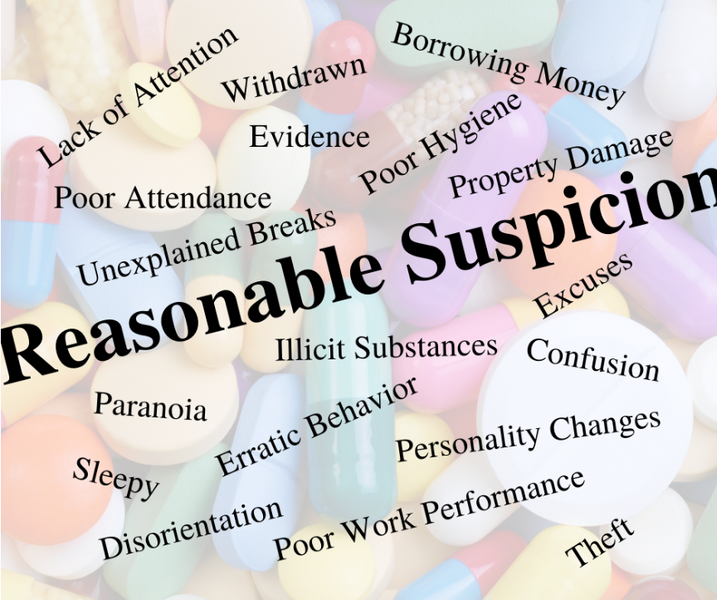 Reasonable Suspicion Training