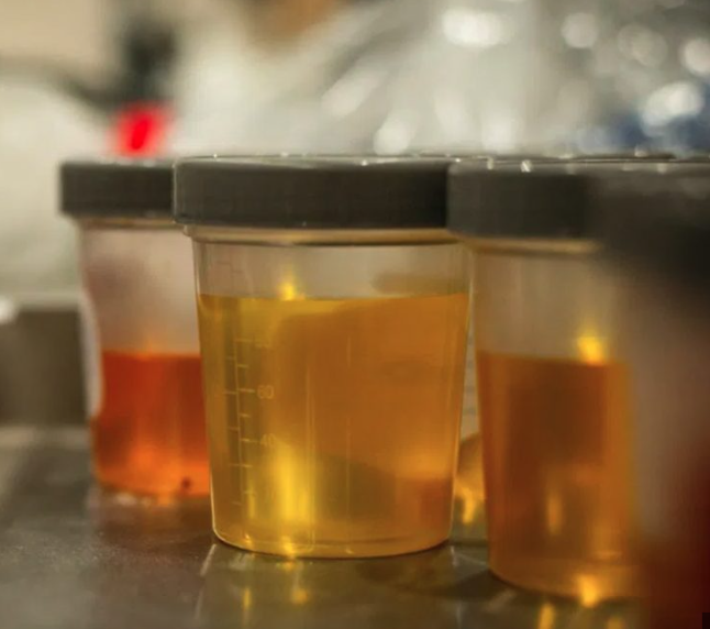 Lab-based and instant Urine Drug Screens - many panels available
