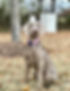 Saylor12_edited.jpg
